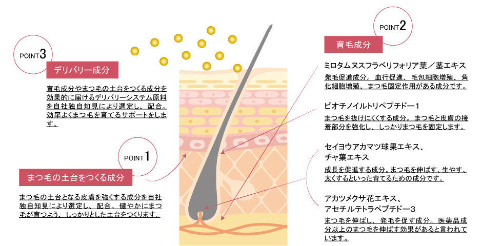 まつ毛成分アプローチ図