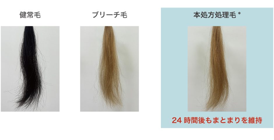 健常毛・ブリーチ毛・処理毛の仕上がり比較｜24時間後のまとまり維持検証