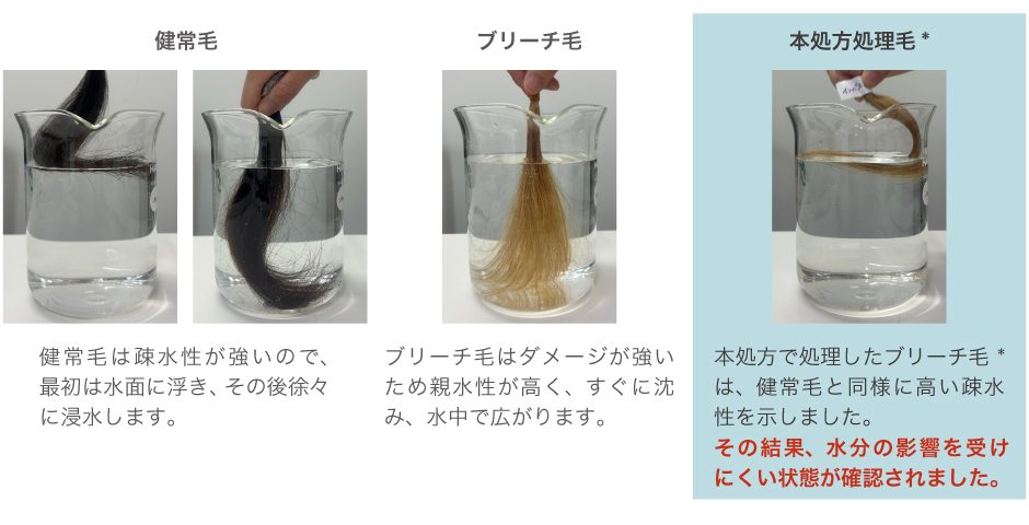 健常毛・ブリーチ毛・処理毛の浸水比較｜ヘアトリートメント処方による撥水性検証