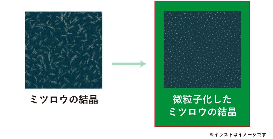 微粒子
